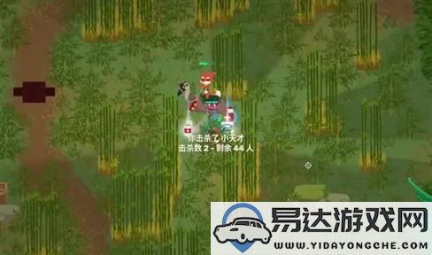 第五人格纸牌游戏攻略：解密恐怖世界的纸牌之谜